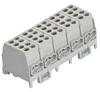 Pollmann Electrotech Fővezeték sorkapocs 5P 2x 25/2x16mm2 szürke HLAK 25-5/10 POL 2080519 (2080519) - daniella