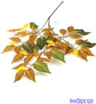  Őszi leveles ág - 8
