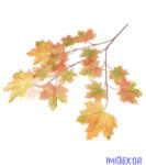  Őszi leveles ág - 4