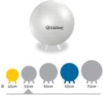 Gymnic Fit-Ball Ülőlabda lábakkal 55 cm gyöngyház