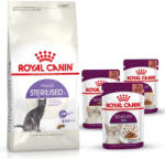 Royal Canin ROYAL CANIN Sterilizált 37 10kg + 3 tasak nedves eledel INGYENES! ! !