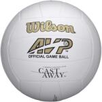 Wilson Castaway Defl Vb 5