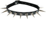 Black & Metal Zgardă - BWZ-247
