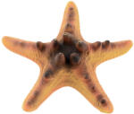 Petportal Dekor tengeri csillag 9, 5 x 9 x 3, 5 cm (PP39167)