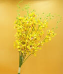  Orchidea köteg - hosszú sárga