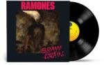 RHINO LP Ramones: Brain Drain (SYEOR 2025)