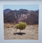 Nettwerk LP SYML: In My Body CLR