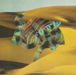 Because Music 3LP Django Django: Django Django LTD