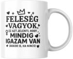  Feleség vagyok ez azt jelenti hogy mindig igazam van (akkor is, ha nincs) bögre (feleseg_vagyok_mindig_igazam_van_bogre)
