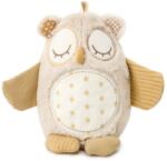 Cloud b Jucarie de plus cu white noise si senzor de miscare - Nighty Night Owl - Cloud b