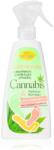 Bione Cosmetics Cannabis láb spray 260 ml