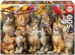 Educa Puzzle Kittens and Birds Educa 500 piese și lipici Fix de la 11 ani (EDU20241) Puzzle