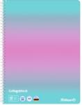 PELIKAN Caiet A4 Pelikan, 80 file, Color Edition, cu spira, patratele, roz/menta 103091