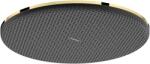 Hansgrohe Raindance Alive S cap de duș 30x30 cm rotund auriu 24521990 (24521990)