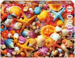 Educa Puzzle Collage of Shells Educa 1000 darabos és Fix ragasztó (20246)