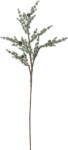 Bloomingville Creangă artificială Bloomingville pin, 91 cm (82072349)