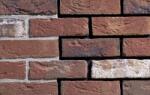 Engels Caramida plina DF Kameleon 215x100x65 mm (ENG-16256001)