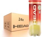 Head Bax mingi tenis Head Championship 24 x 3B (575203-KARTON)