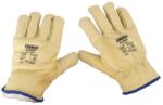 ENERGO Manusi iarna protectie mecanica interior blana alaska marimea 10 piele (SGS-TRN-142510)