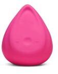 BIIRD Vibrator Biird Evii roz Vibrator