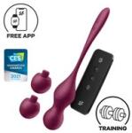 Satisfyer Love Birds Vary Connect App