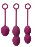 SVAKOM - Nova Bile Kegel Violet Vibrator