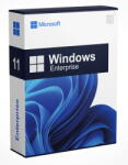 Microsoft Windows 11 Enterprise (KV3-00309)