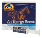 Cavalor An Energy Boost, Versele Laga, 60 gr (472646)