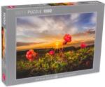 Heye Puzzle Heye din 1000 de piese - În câmpuri (30016) Puzzle