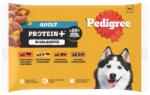 PEDIGREE Adult Protein+ tasak 4x85 g nedves teljes értékű táplálék felnőtt kutyák számára marhahús és máj keverékével, csirkével és marhahússal, pulykával és csirkével, kacsával és csirkével zselében