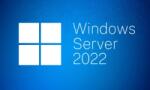  SW OEM WIN SVR 2022 STD/ENG 1 db-os 4CR P73-08441 MS