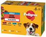PEDIGREE Adult Ízek Választéka tasak 12x100 g nedves teljes értékű táplálék felnőtt kutyák számára marha- és májkeverékkel, csirkével, hallal, baromfival zselében