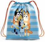 Ludo Studio Bluey tornazsák, hátizsák 42 cm