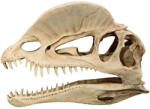 Petportal Dekor tarajos dino koponya 19 x 6 x 13 cm (PP39175)