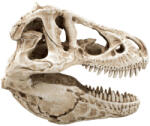 Petportal Dekor T-Rex koponya 14 x 7, 5 x 9 cm (PP39174)