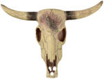 Petportal Dekor marha koponya 12 x 9 x 4 cm (PP39171)