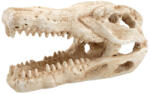 Petportal Dekor krokodil koponya 7, 5 x 4, 5 x 4, 5 cm (PP39169)