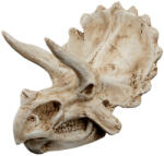 Petportal Dekor triceratops koponya 15, 5 x 11, 5 x 11 cm (PP39173)
