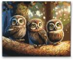  Festés számok szerint - Három bagoly Méret: 30x40cm, Keretezés: Keret nélkül (csak a vászon)