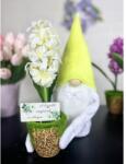 Manóvilág Virágos Manó | Cserepes Jácinttal | Lime Zöld(30-35cm)