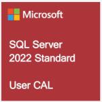 Microsoft SQL 2022 CAL English OEM OLC 10 Clt User CAL (359-06999)