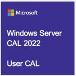 Microsoft Windows Server CAL 2022 Hungarian 1pk DSP OEI 1 Clt User CAL (R18-06451)