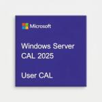 Microsoft Windows Server CAL 2025 Hungarian 1pk DSP OEI 1 Clt User CAL (EP2-25264)