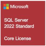 Microsoft SQL Server Standard Edition 2022 English OEM OLC No Media/No Key Kiegészítő License (228-11629)