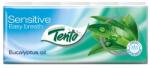 Tento Papír zsebkendő, 3 rétegű, 10x10 db, TENTO "Family", eukaliptuszolaj 229459/201525 (229459/201525)