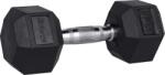 Fitforce Fdbb 10kg (fdbb10kg_u0a)
