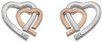 Hot Diamonds Femeile bicolore cercei Hot Diamonds Dragoste DE532
