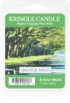 Kringle Candle Spanish Moss ceară pentru aromatizator 64 g