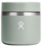 Hydro Flask INSULATED FOOD JAR 20 oz Termos 374 AGAVE
