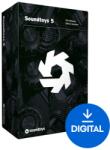 SoundToys Soundtoys 5.5 (Produs digital)